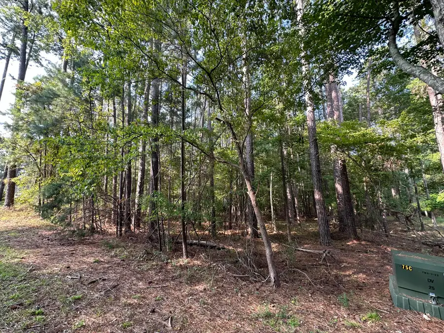 B14 L5 Tara Drive, McCormick, SC 29835 - #3