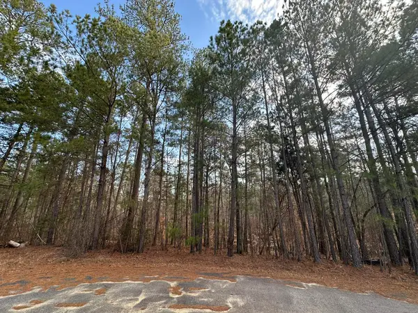 B63  L27 Half Moon Lane, McCormick, SC 29835