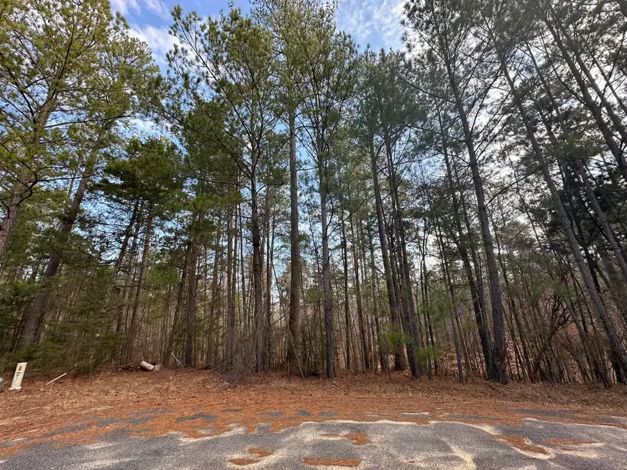 B63  L27 Half Moon Lane, McCormick, SC 29835 - #2