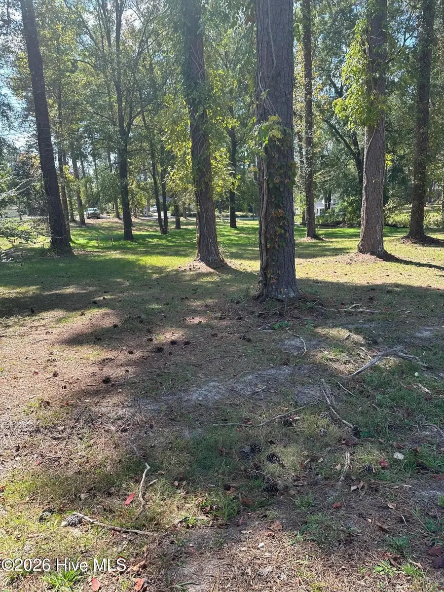 293 NW South Lake Drive, Thomson, GA 30824 - #2