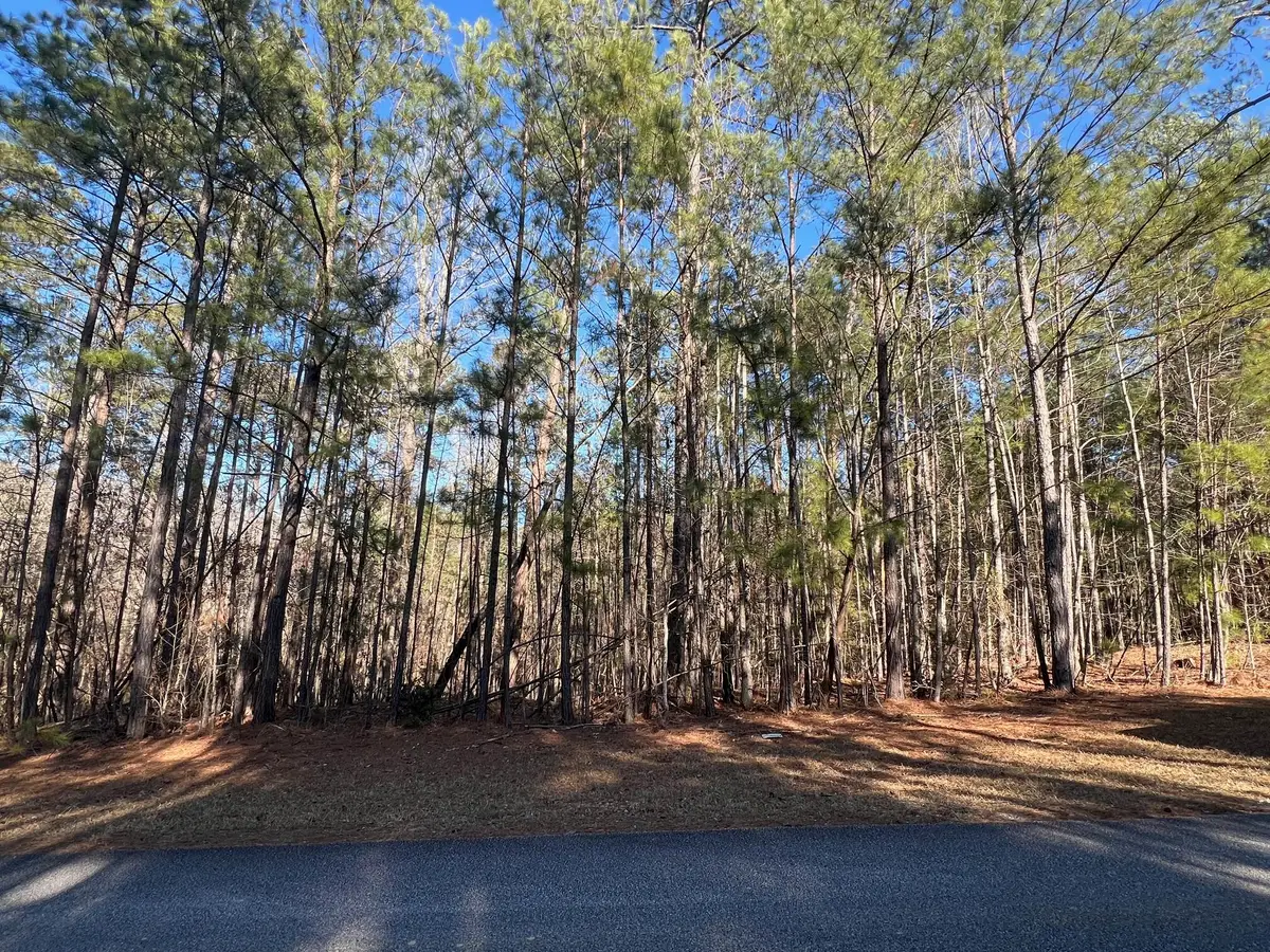 24-17 Madison Dr. Drive, McCormick, SC 29835 - #1