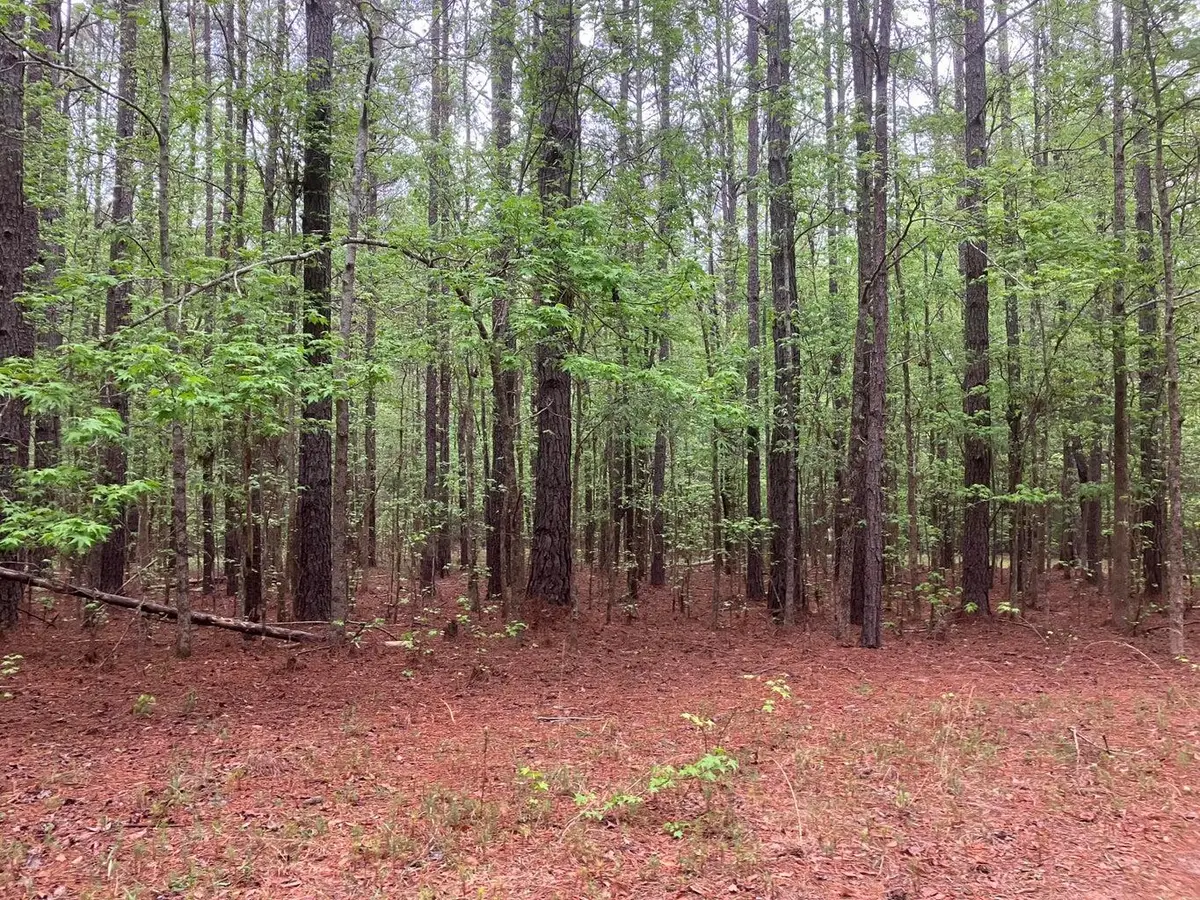 945 Neptune Trail, Appling, GA 30802 - #1