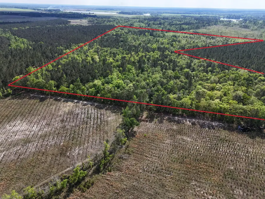 0 305 Highway, Midville, GA 30441 - #2