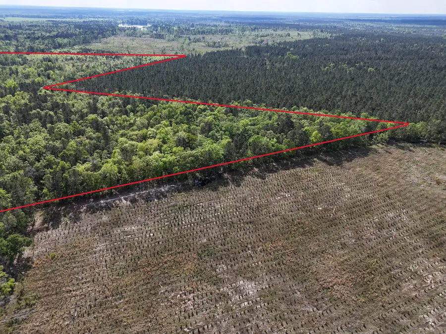 0 305 Highway, Midville, GA 30441 - #3