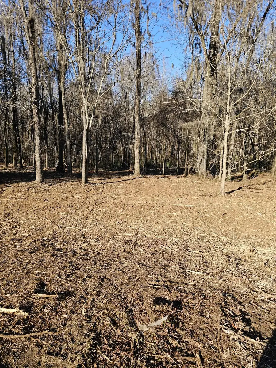 110 Vanna Lane, Waynesboro, GA 30830 - #2