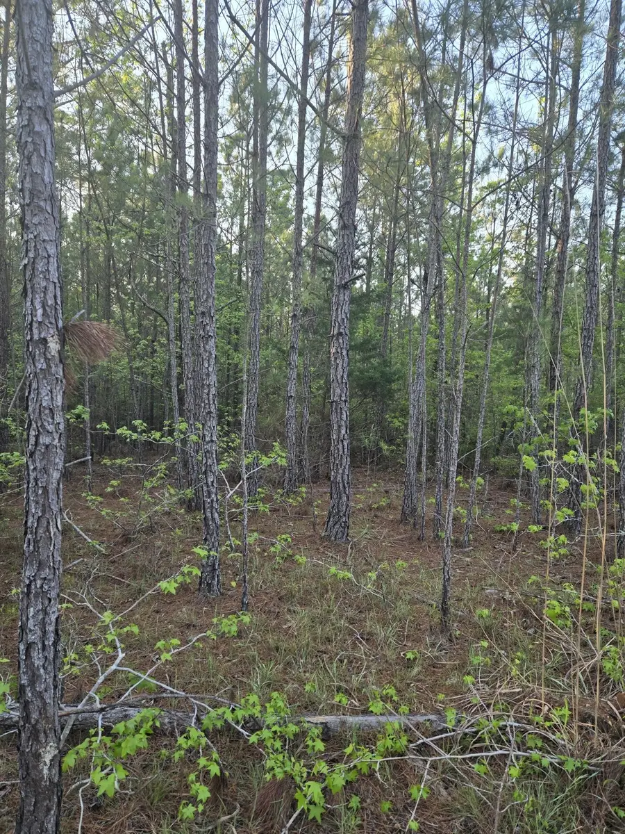 0 Sweetgum Lane, Lincolnton, GA 30817 - #3