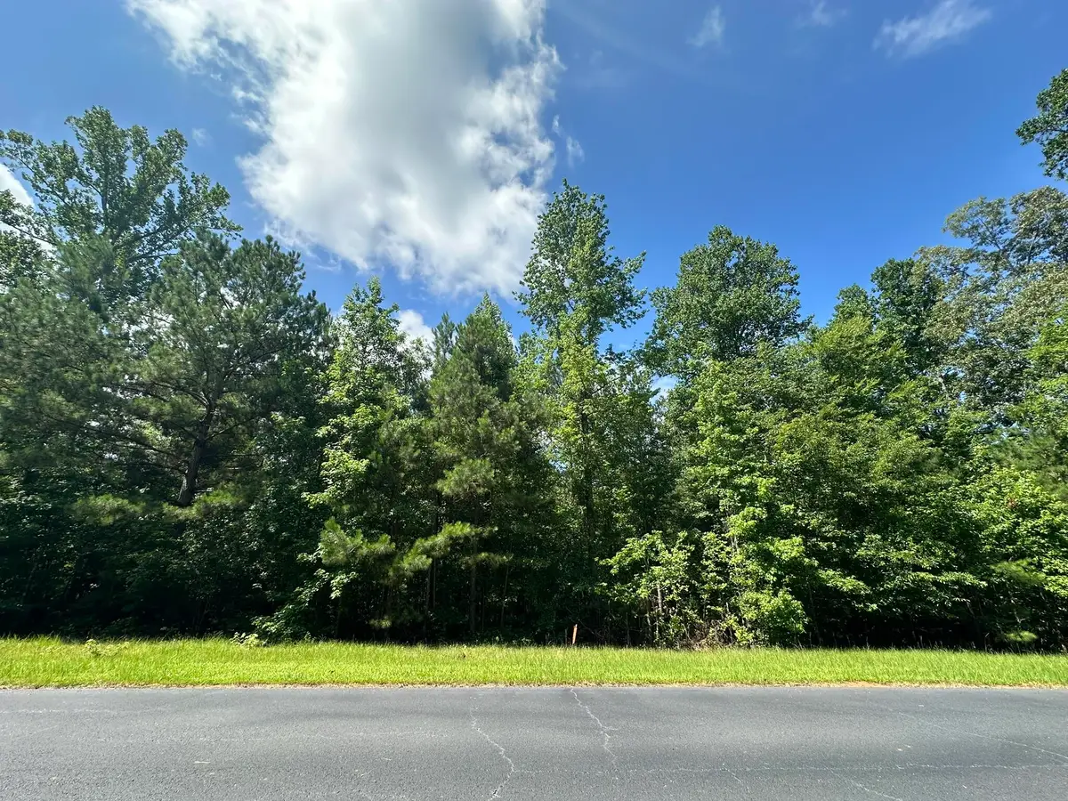 Lot 11 South Pointe Drive, Tignall, GA 30668 - #1