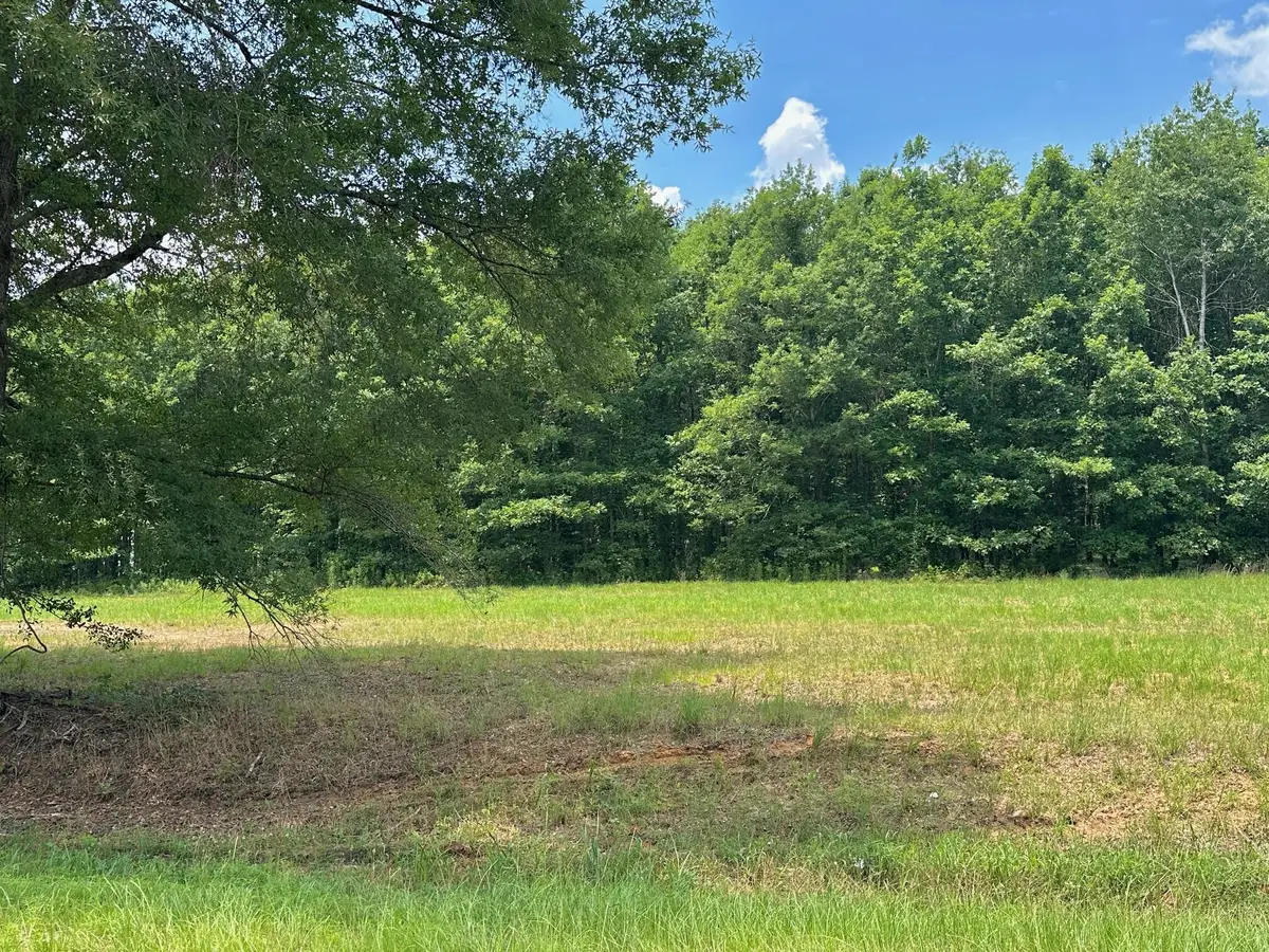 0 Chappel Road, Waynesboro, GA 30830 - #1