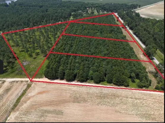 0 Chappel Road, Waynesboro, GA 30830 - #3