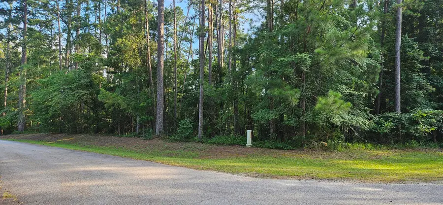 Bl 6 Lot 9 Davis Drive, McCormick, SC 29835 - #2
