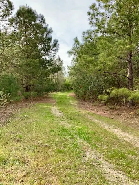 2405 Hwy 88, Hephzibah, GA 30815 - #2