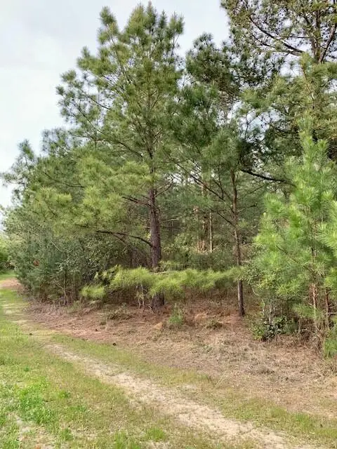 2405 Hwy 88, Hephzibah, GA 30815 - #3