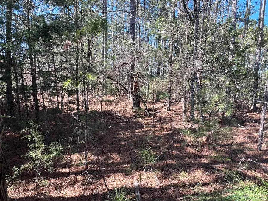 16-39 Rutledge Lane, McCormick, SC 29835 - #2