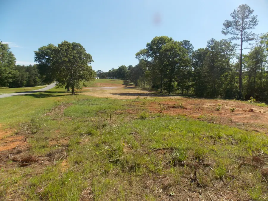 00 C E Norman Rd, Lincolnton, GA 30817 - #3