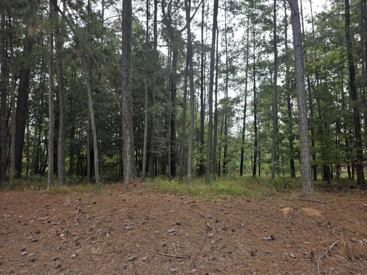 5219 Riverwood Parkway, Evans, GA 30809 - #1