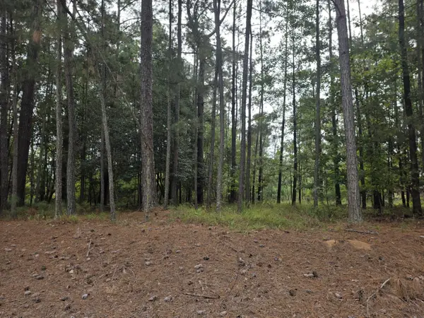 5219 Riverwood Parkway, Evans, GA 30809