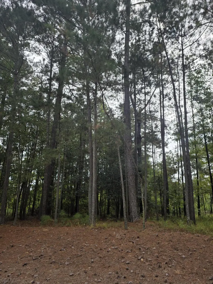 5219 Riverwood Parkway, Evans, GA 30809 - #2