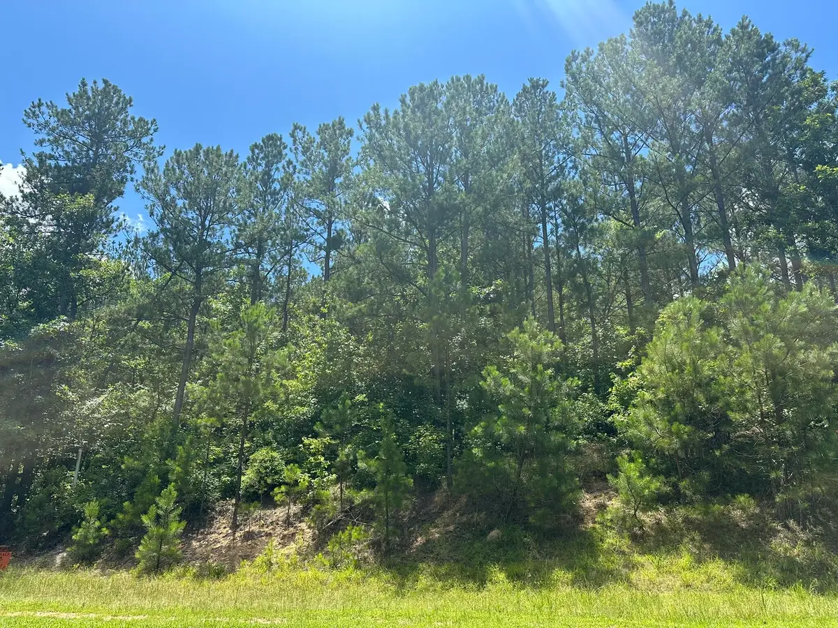 Lot 27 Honeysuckle Trail, Lincolnton, GA 30817 - #1