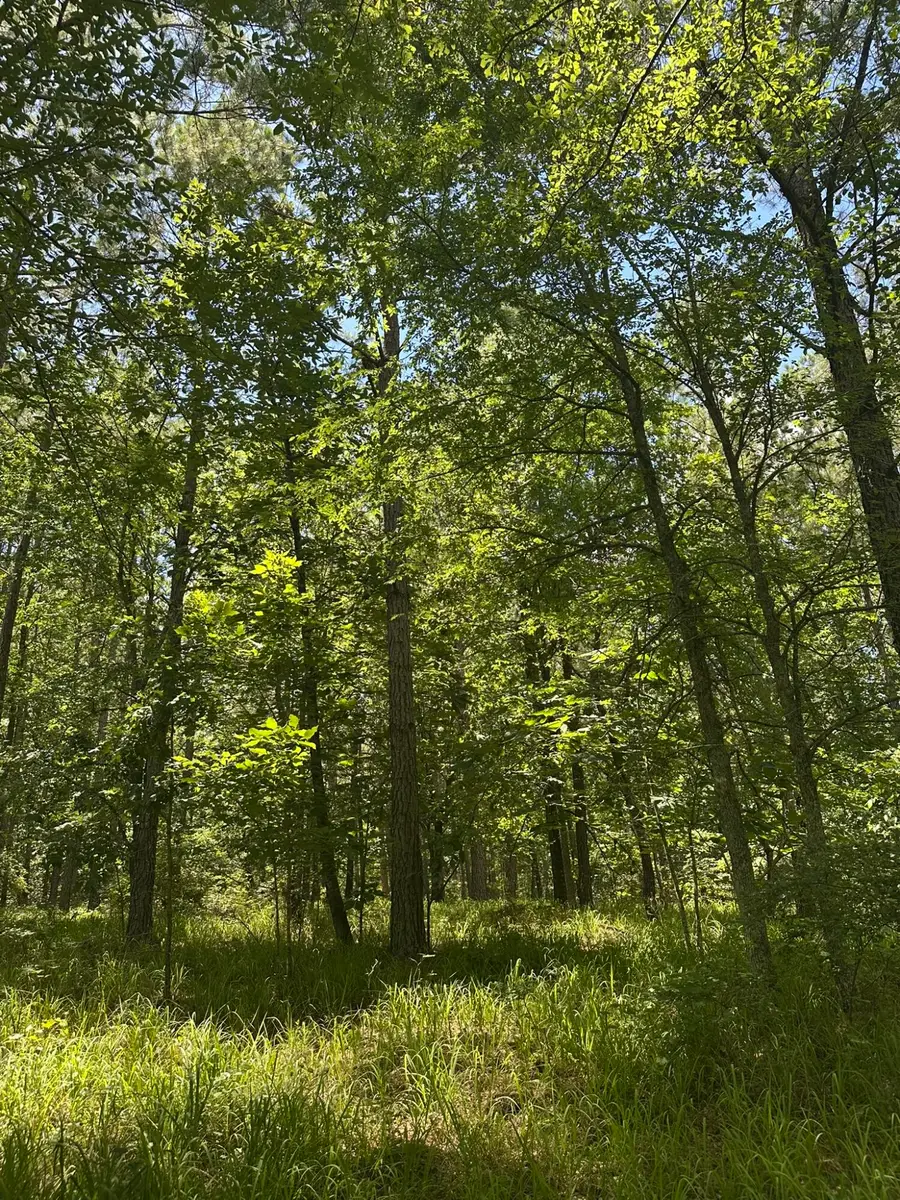 Lot 27 Honeysuckle Trail, Lincolnton, GA 30817 - #3