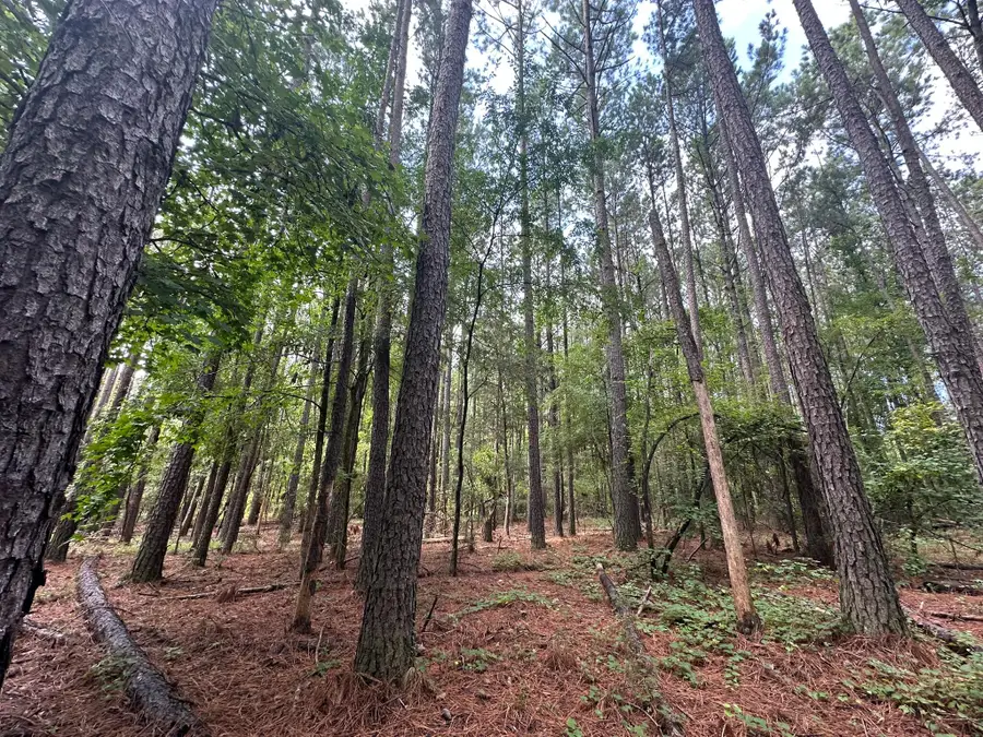 Lot 2 Dogwood Lane, Parksville, SC 29845 - #3