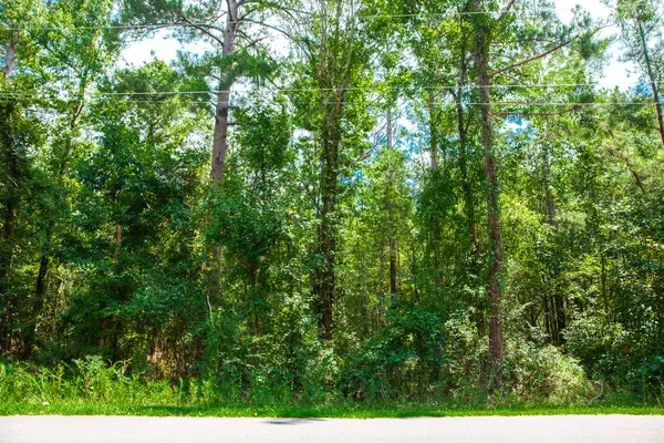 Lot 9 Bent Oak Road, Clarks Hill, SC 29821
