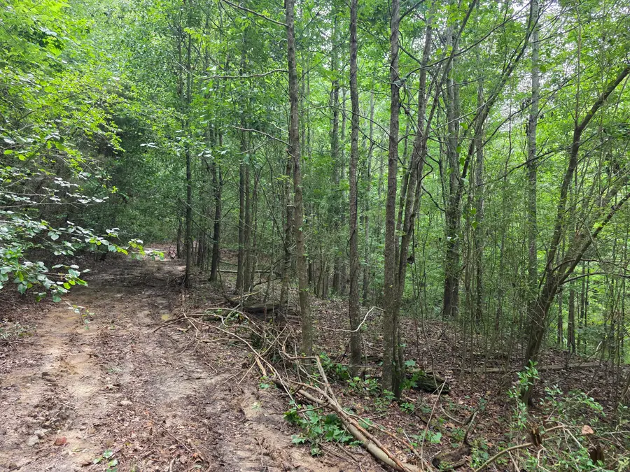 2031 Mcdade Road, Hephzibah, GA 30815 - #2