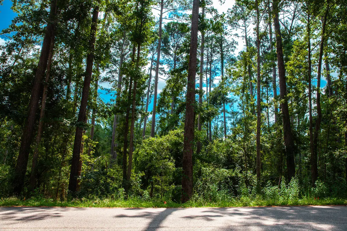 Lot 4 Furey Drive, Clarks Hill, SC 29821 - #1