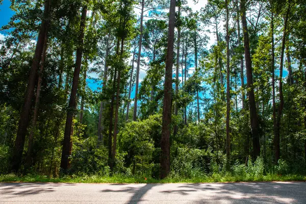 Lot 4 Furey Drive, Clarks Hill, SC 29821
