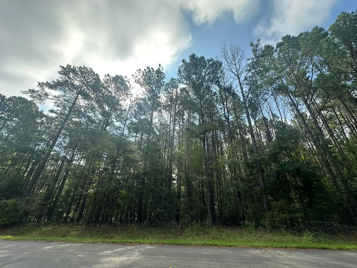 Lot 1 Dogwood Lane, Parksville, SC 29845 - #1