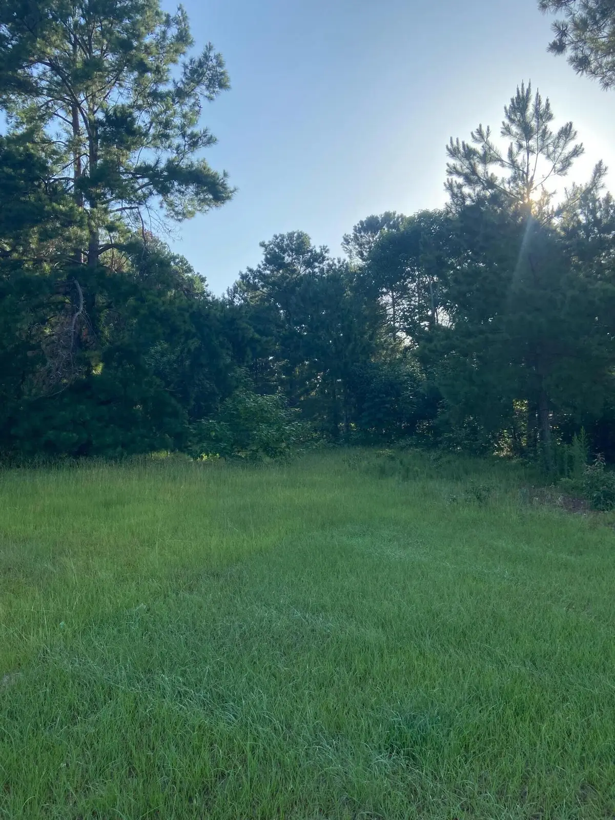749 Bennock Mill Road, Augusta, GA 30906 - #1