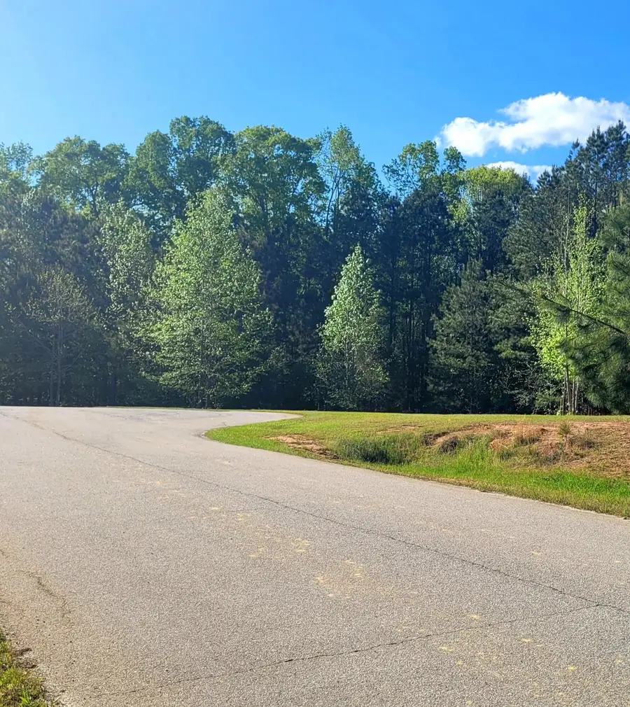 1070 Cody Trail, Tignall, GA 30668 - #2