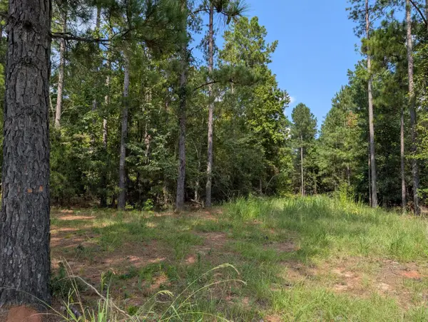 00a Elberton Hwy, Lincolnton, GA 30817