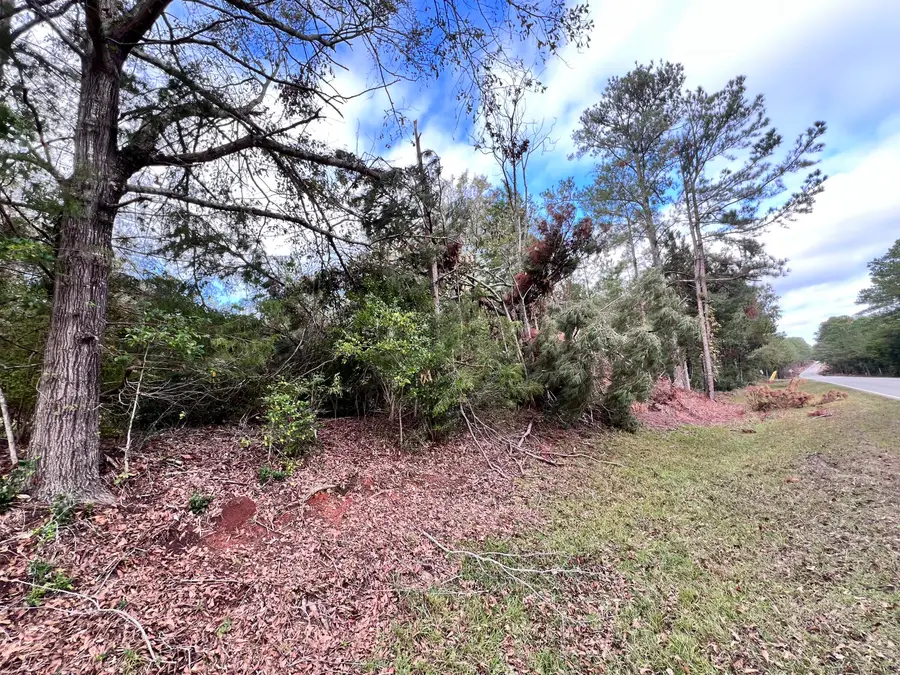 Lot C Ridge Road, Appling, GA 30802 - #3