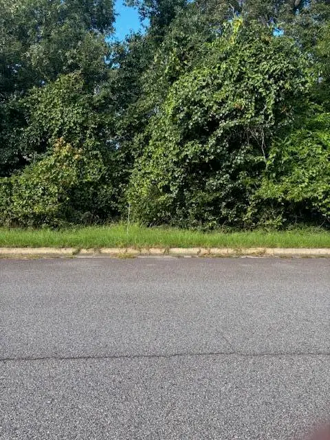 3908 Carolyn Street, Augusta, GA 30909 - #1
