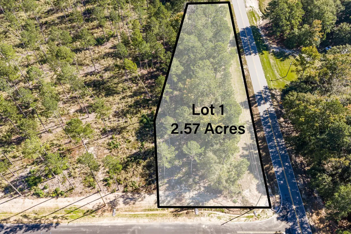 111 Beagle Chase Drive, Appling, GA 30802 - #1