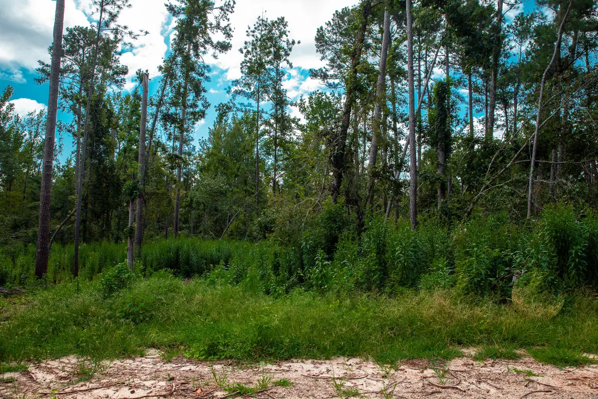 Lot 2 Furey Drive, Clarks Hill, SC 29821 - #1