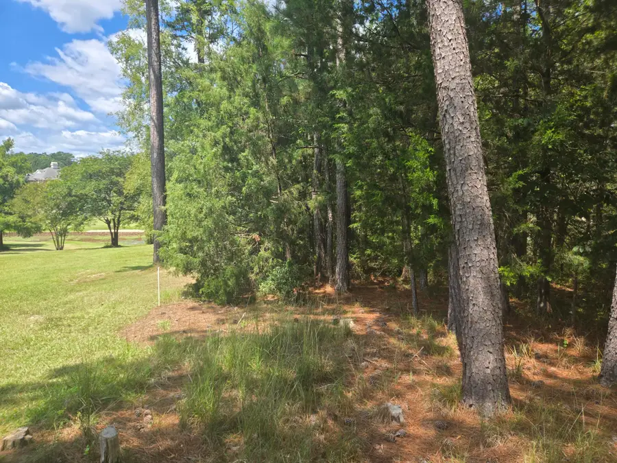 110 Old Course Lane, McCormick, SC 29835 - #3