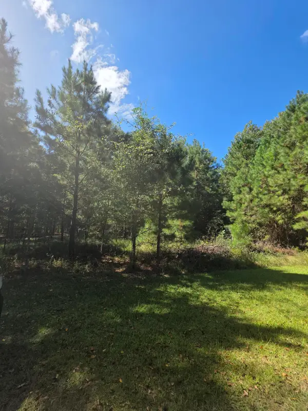 0 Beaver Dam Road, Perkins, GA 30822