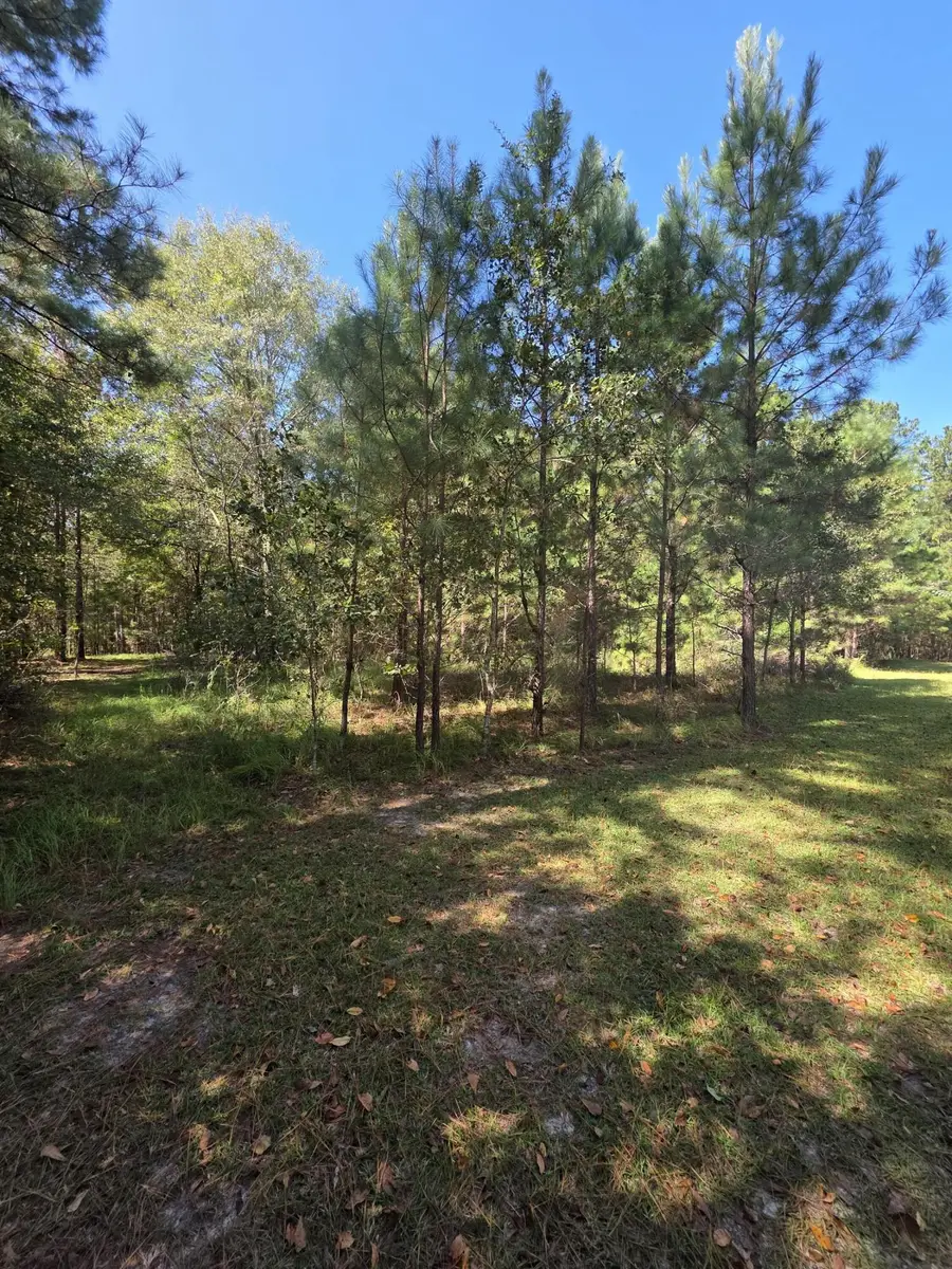 0 Beaver Dam Road, Perkins, GA 30822 - #3