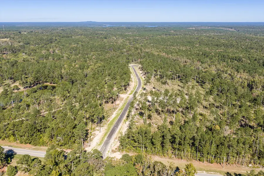 127 Beagle Chase Drive, Appling, GA 30802 - #3