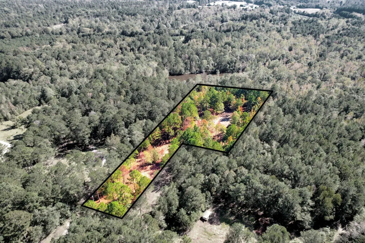 6982 Moontown Drive, Appling, GA 30802 - #1