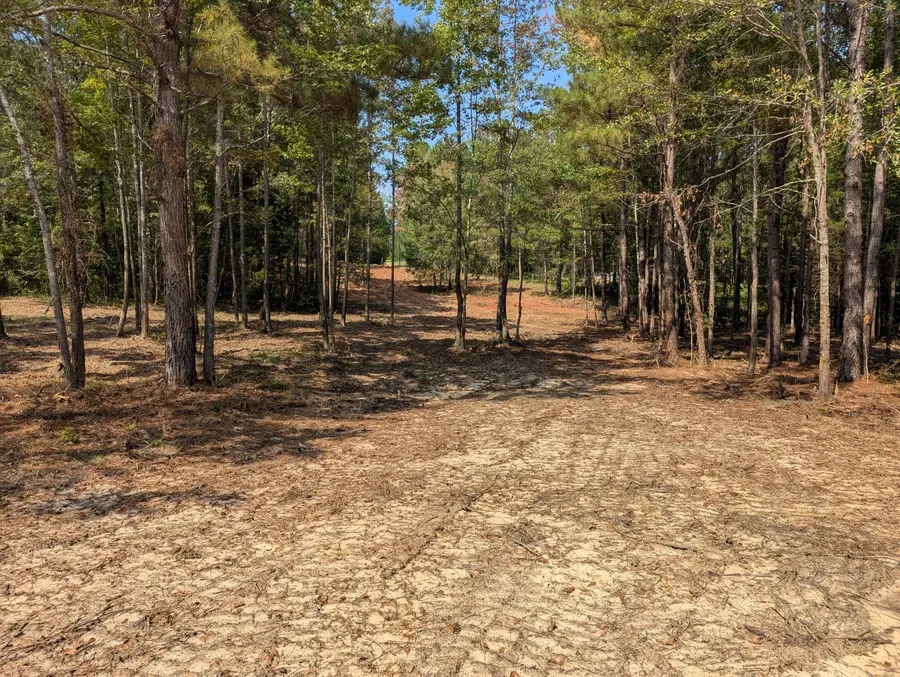 6982 Moontown Drive, Appling, GA 30802 - #2