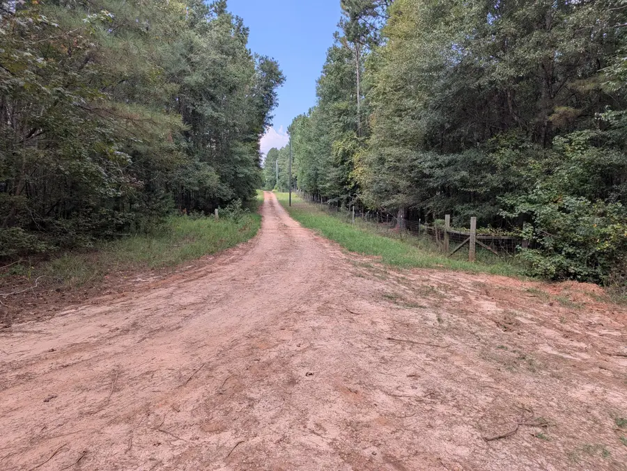 6982 Moontown Drive, Appling, GA 30802 - #3