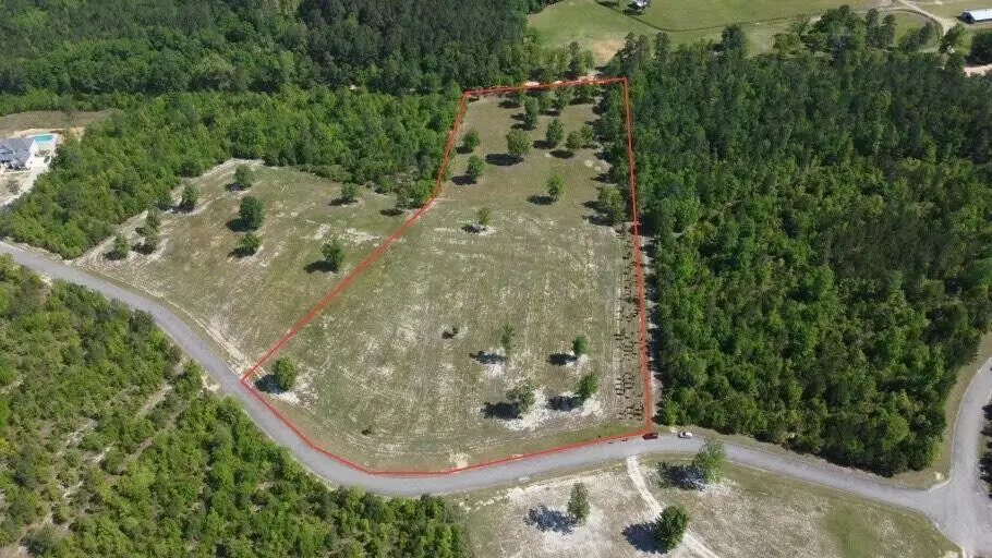 0 Cooks Pond Road, Williston, SC  - #1
