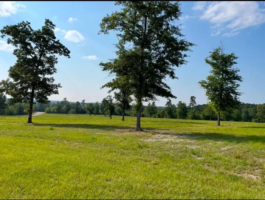 0 Cooks Pond Road, Williston, SC  - #3