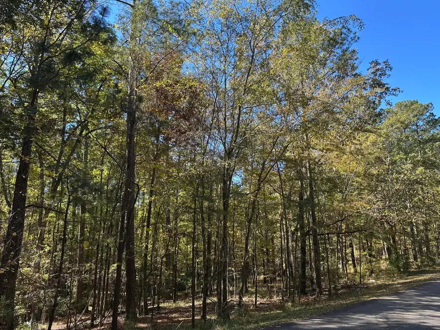 167 Southwind Drive, McCormick, SC 29835 - #2