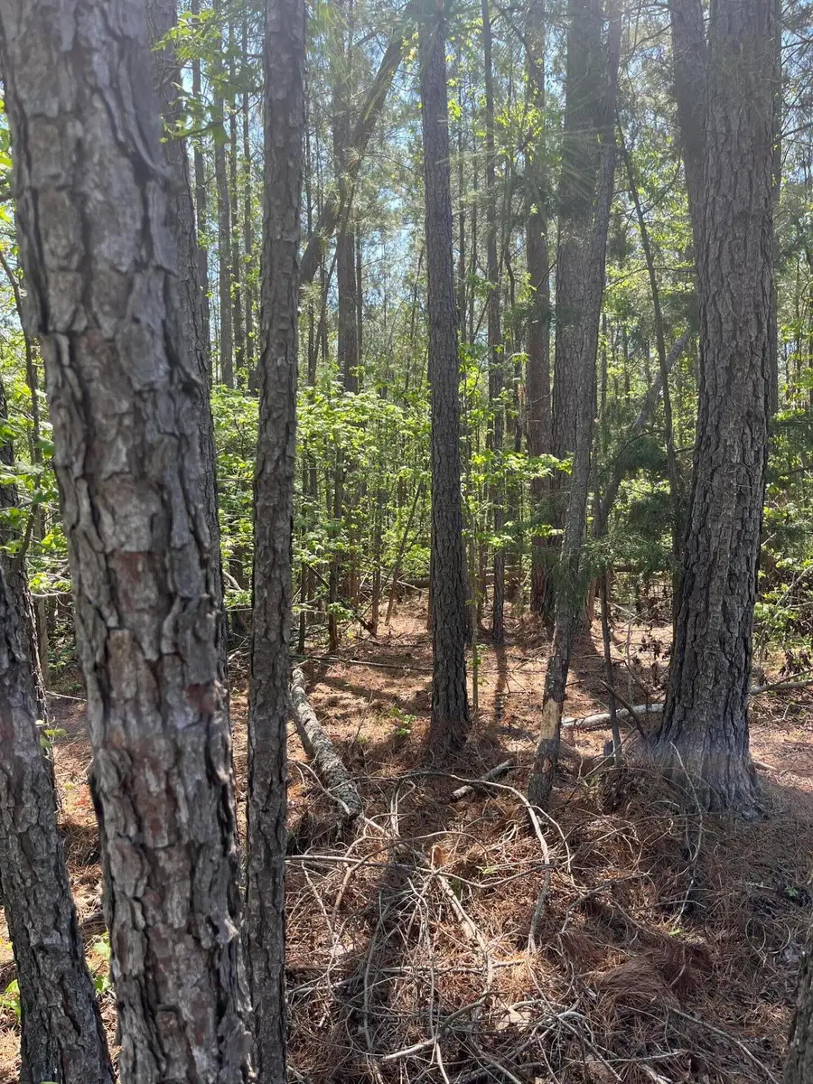L14 B39 Antioch Drive, McCormick, SC 29835 - #2