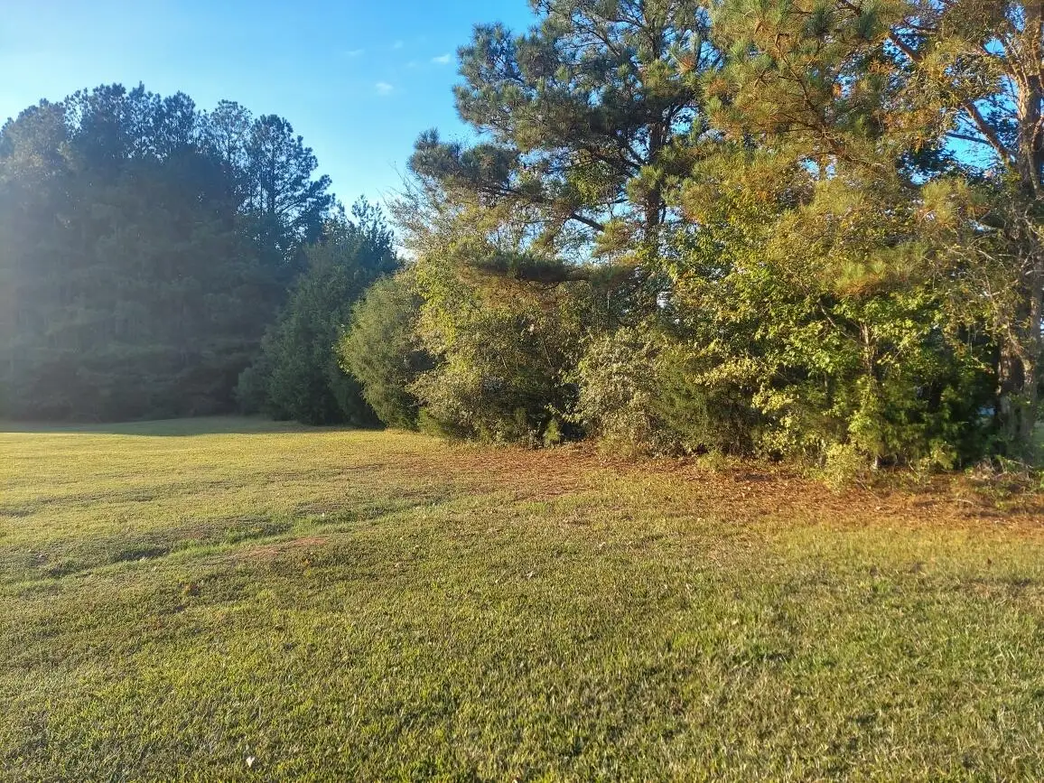 0 Clary Cut Road, Appling, GA 30802 - #1
