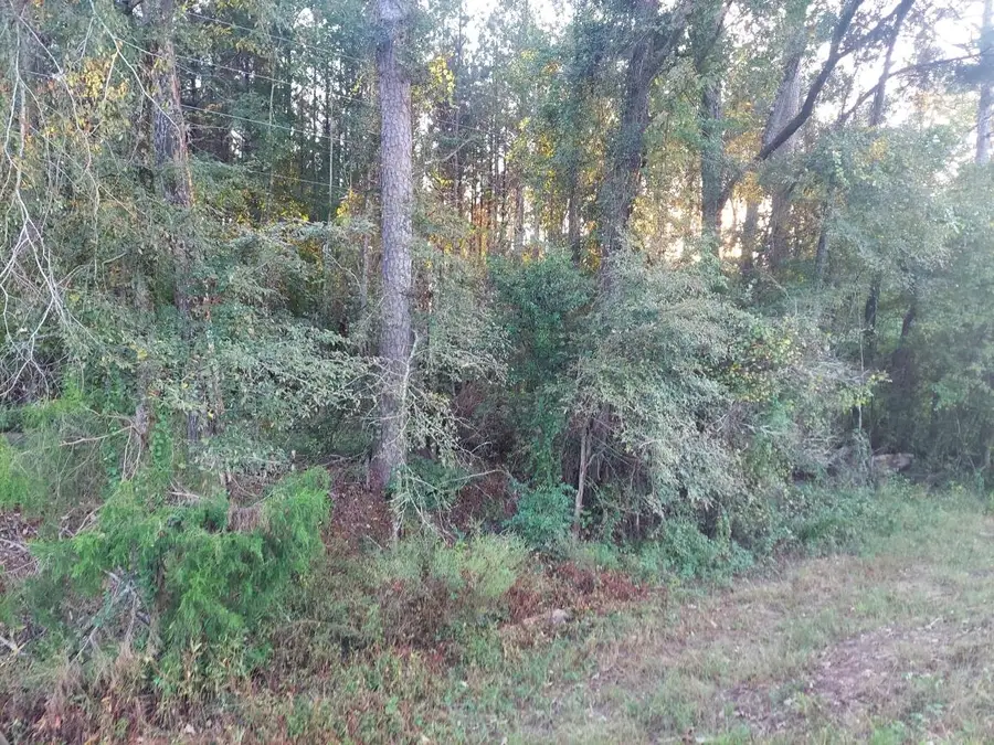 0 Clary Cut Road, Appling, GA 30802 - #2