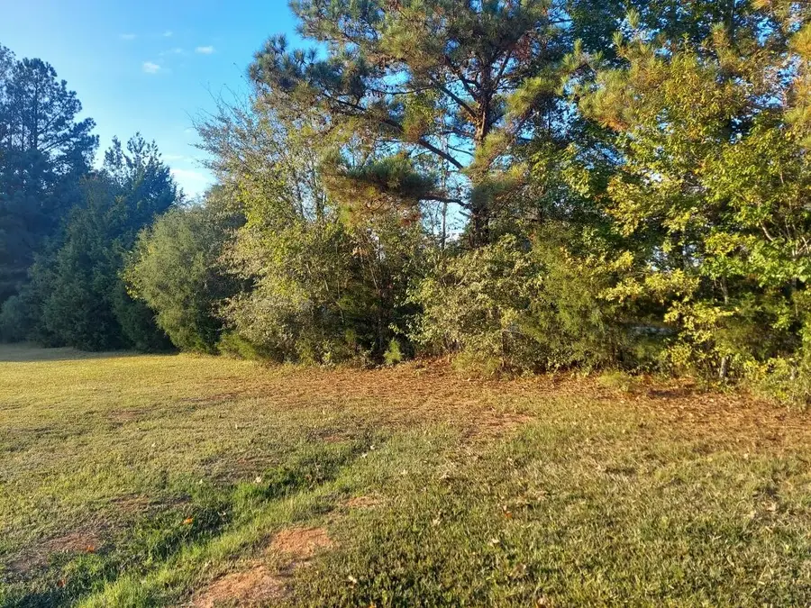 0 Clary Cut Road, Appling, GA 30802 - #3